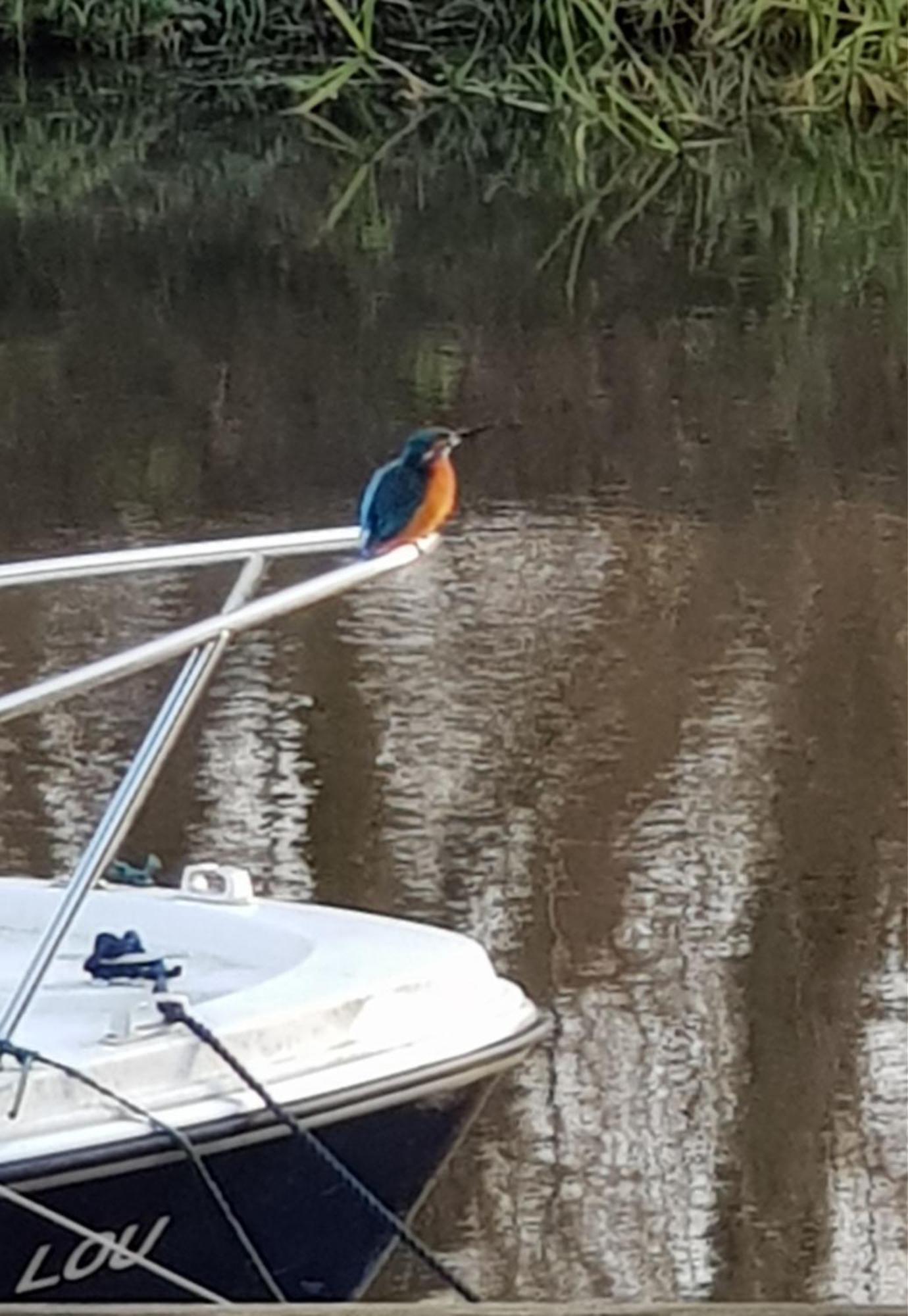 River Cottage Stoke Ferry Bagian luar foto